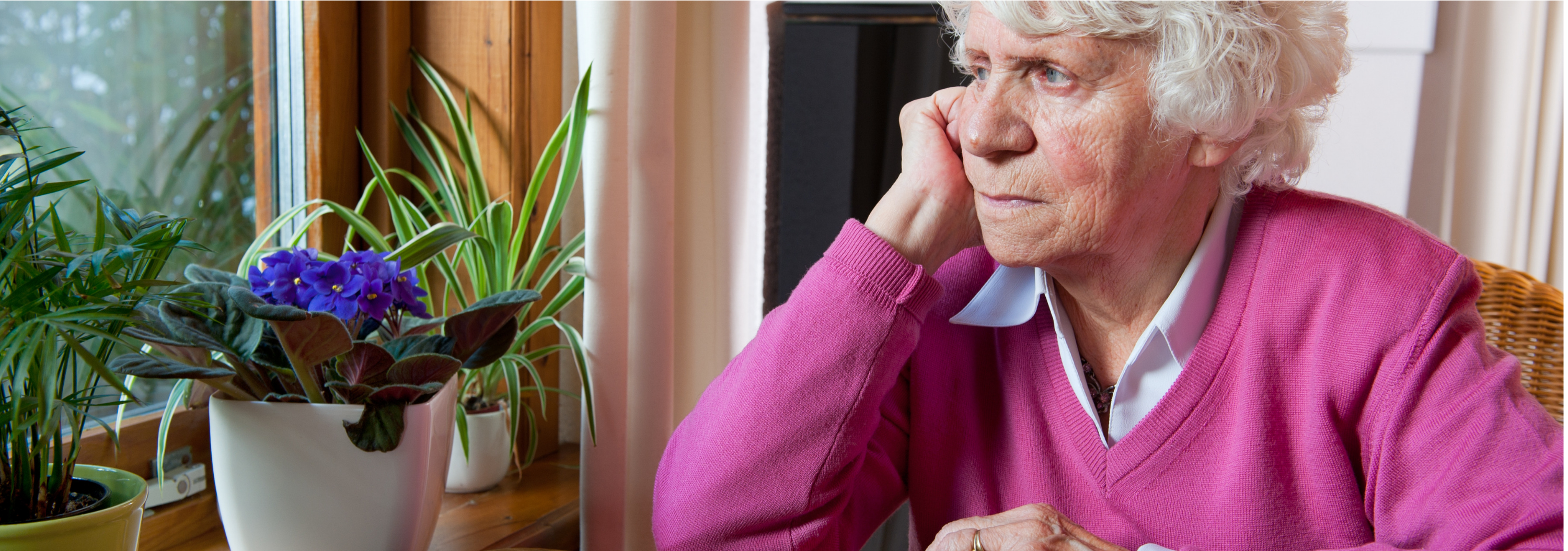 disability and loneliness