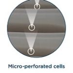 Micro perforated cells