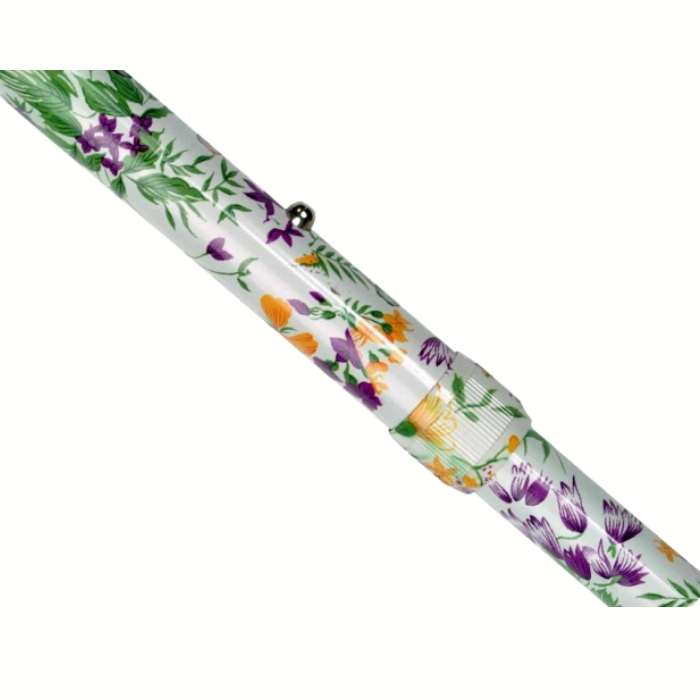 Walk on walking stick wild flowers